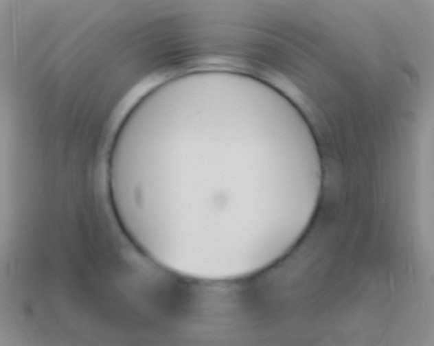 X0000114241474200910231514
