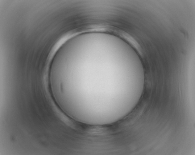 X0000114241475200910231514