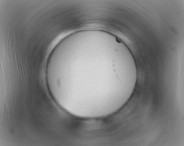 X0000114241478200910231514