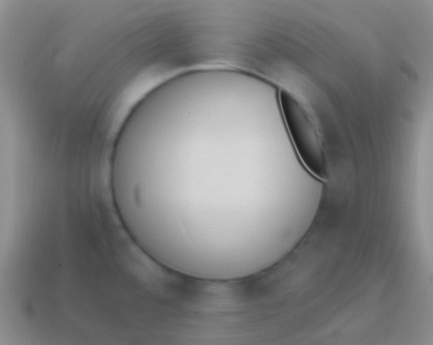 X0000114241480200910231514