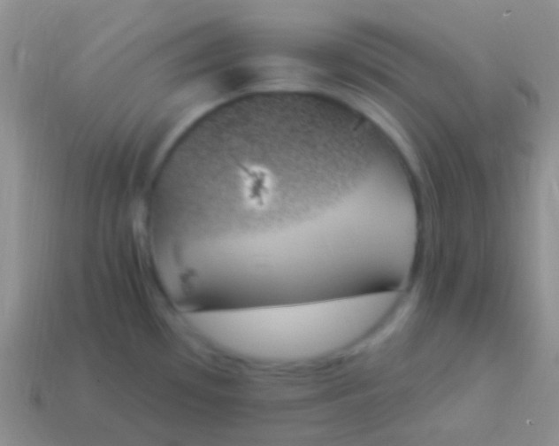 X0000114241481200910231514