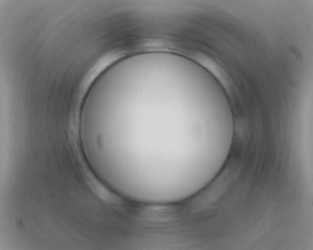 X0000114241482200910231514
