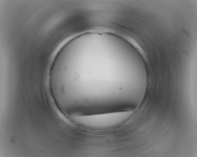X0000114241484200910231514