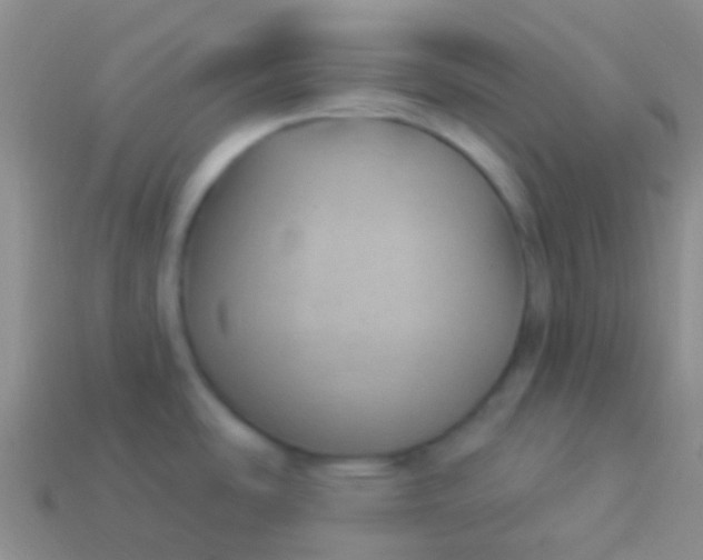 X0000114241486200910231514