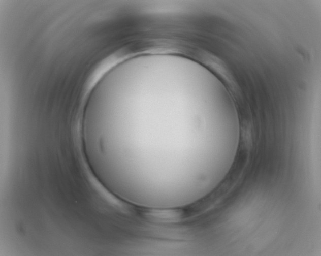 X0000114241487200910231514