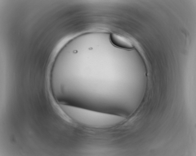 X0000114241488200910231514
