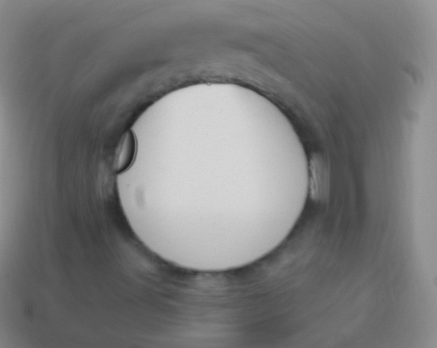 X0000114241491200910231513