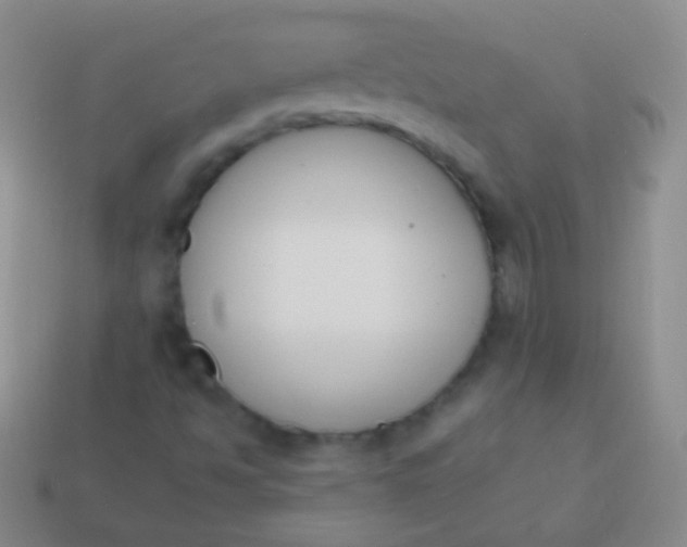 X0000114241494200910231513