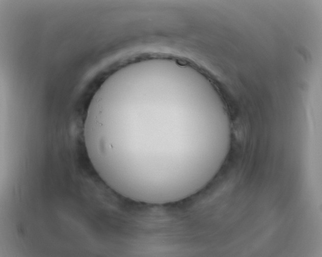 X0000114241495200910231513