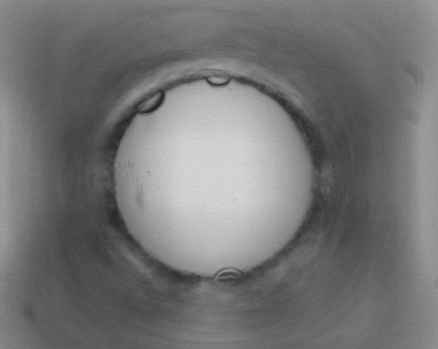 X0000114241496200910231513