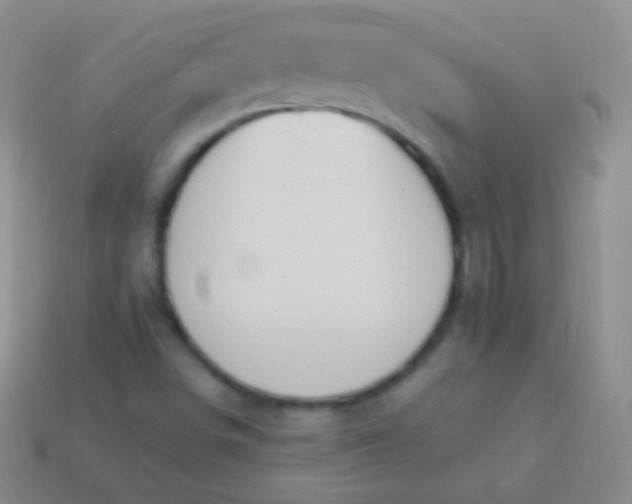 X0000114241498200910231513