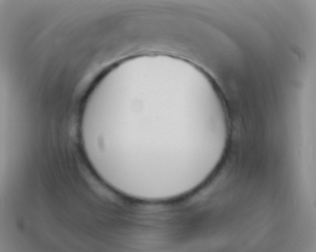 X0000114241499200910231513
