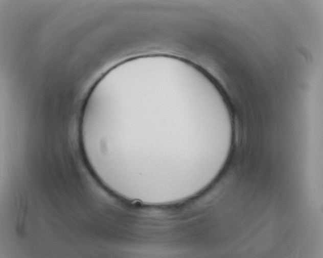 X0000114241500200910231513