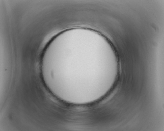 X0000114241501200910231513
