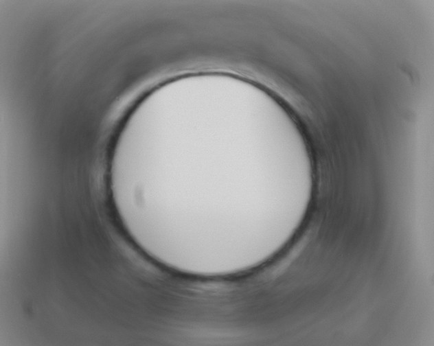 X0000114241502200910231513