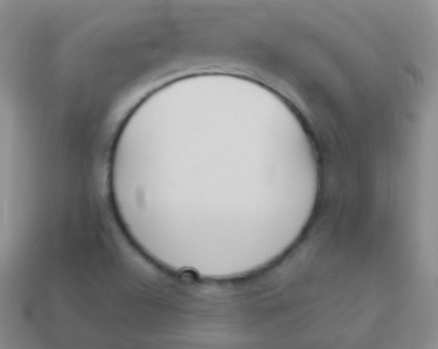X0000114241504200910231513