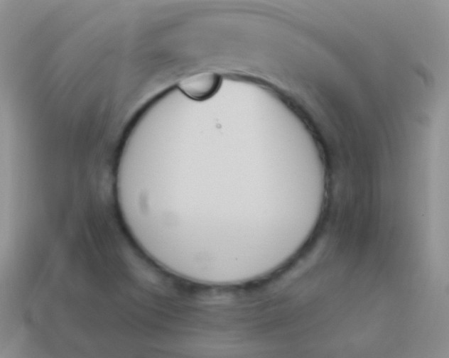 X0000114241505200910231513