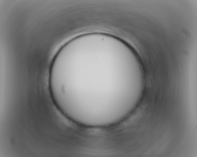 X0000114241508200910231513