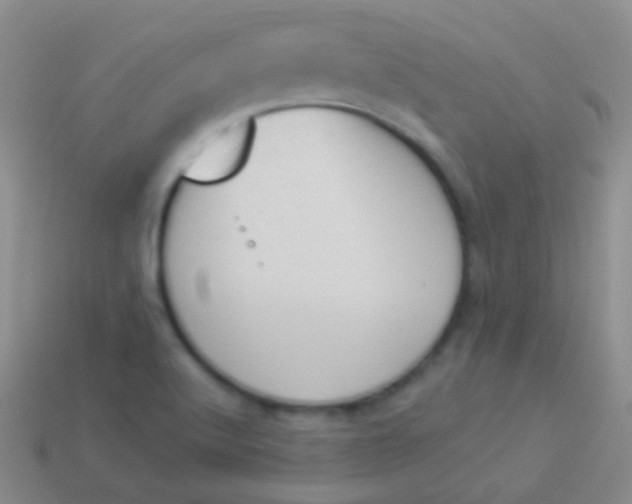 X0000114241512200910231514