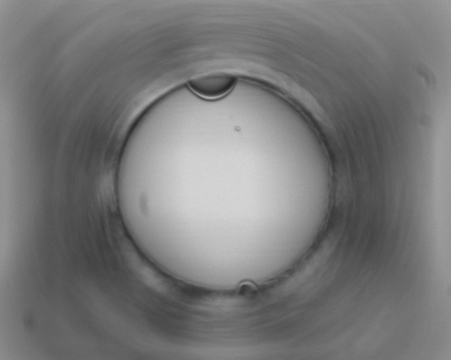 X0000114241513200910231514