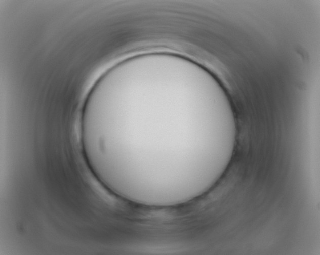 X0000114241516200910231514