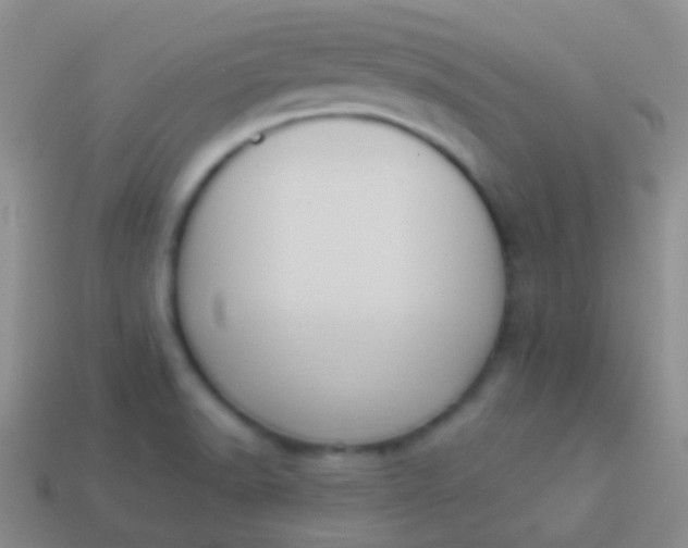 X0000114241518200910231514