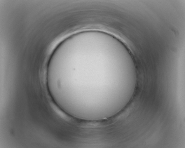 X0000114241519200910231514