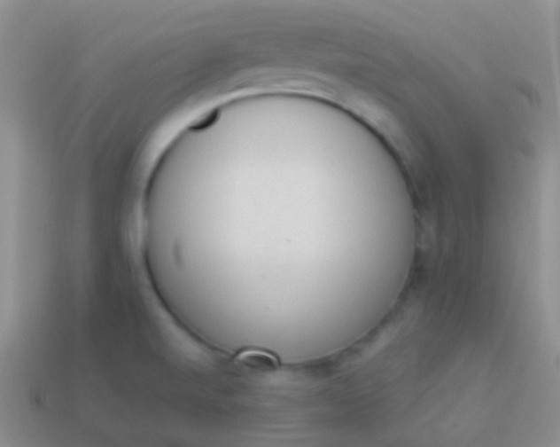 X0000114241520200910231514