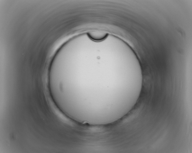 X0000114241523200910231514