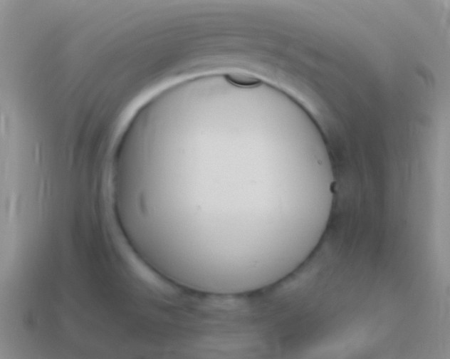 X0000114241526200910231514