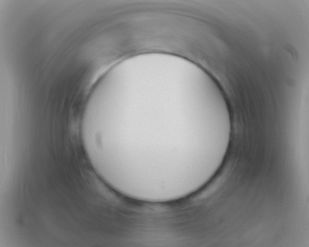 X0000114241529200910231514