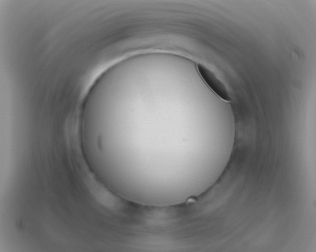 X0000114241530200910231514