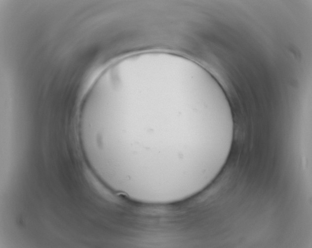 X0000114241532200910231514