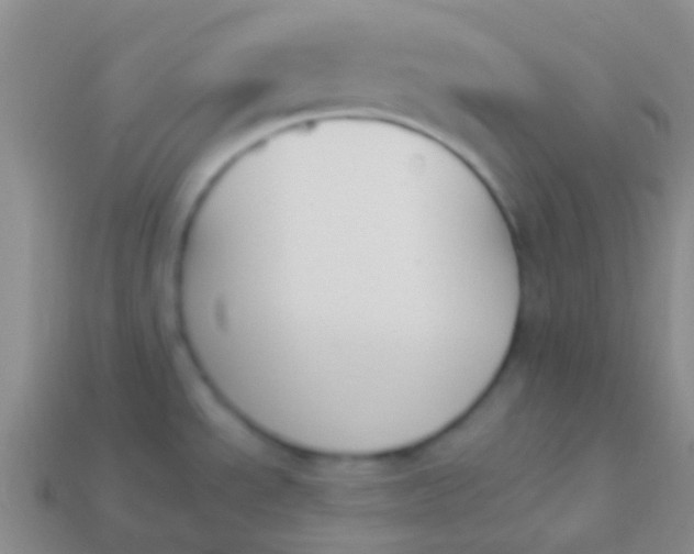 X0000114241534200910231514