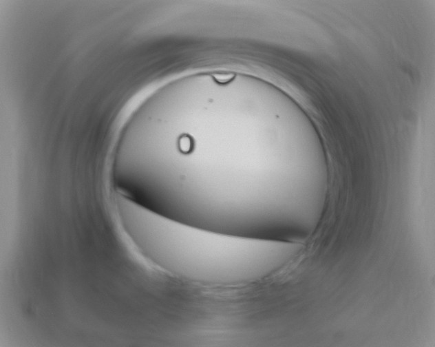 X0000114241536200910231514