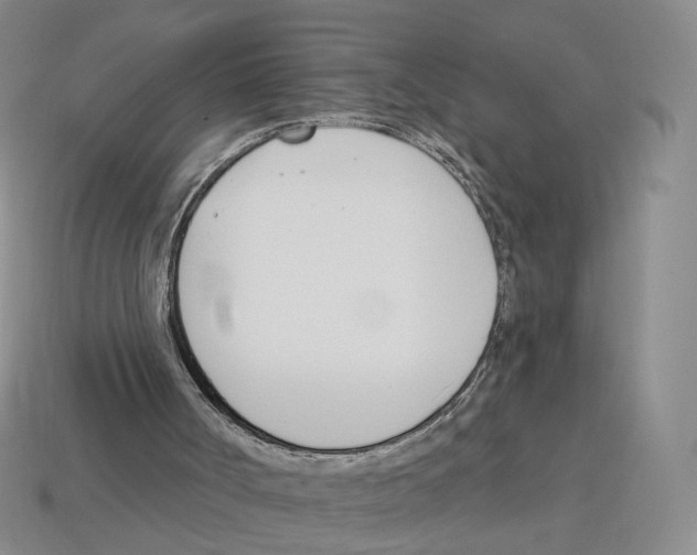 X0000114240002200911061558