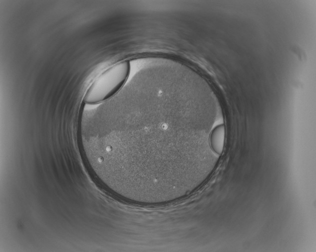 X0000114240003200911061558