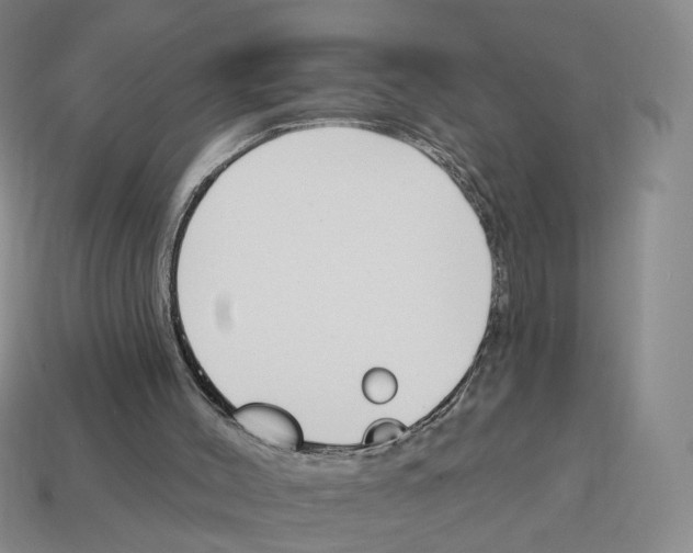 X0000114240004200911061558