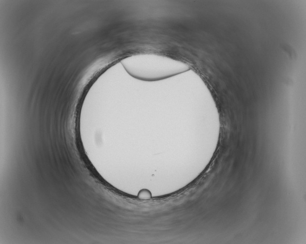 X0000114240006200911061558