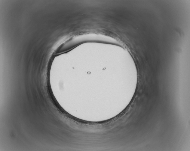 X0000114240008200911061558