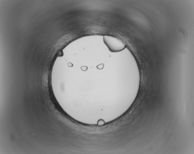 X0000114240010200911061558