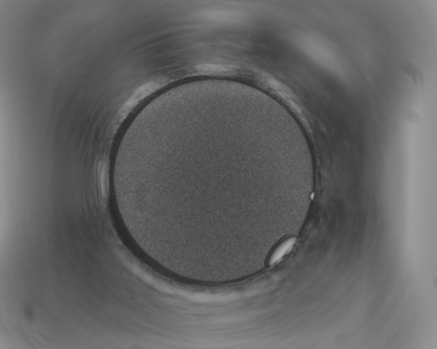 X0000114240011200911061558