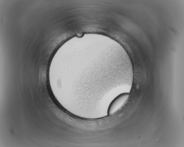 X0000114240015200911061558