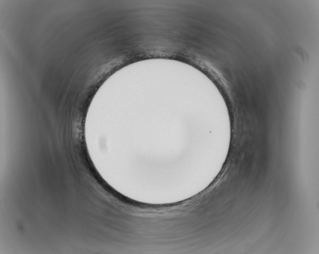 X0000114240017200911061558