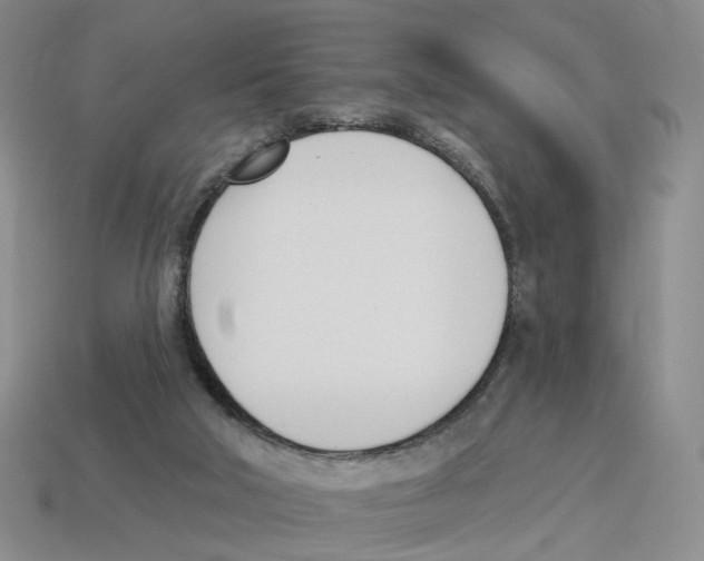 X0000114240018200911061558