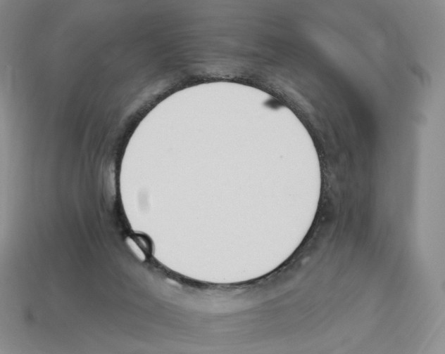 X0000114240020200911061558