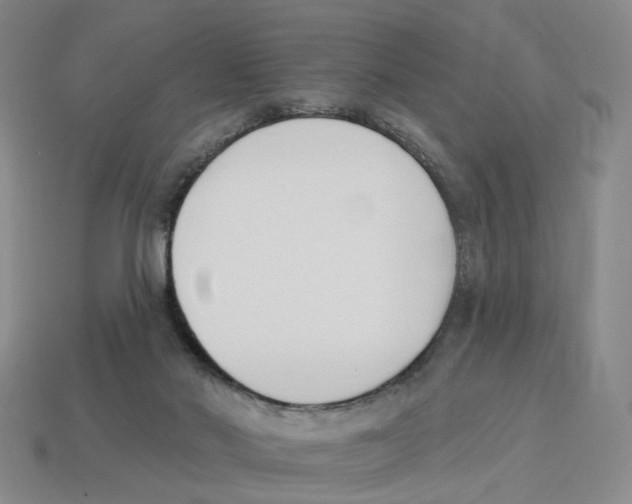 X0000114240022200911061558