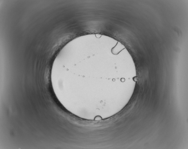 X0000114240023200911061558