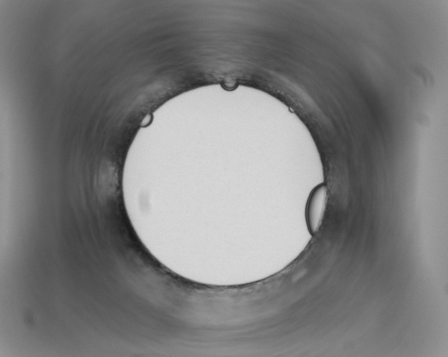 X0000114240025200911061558