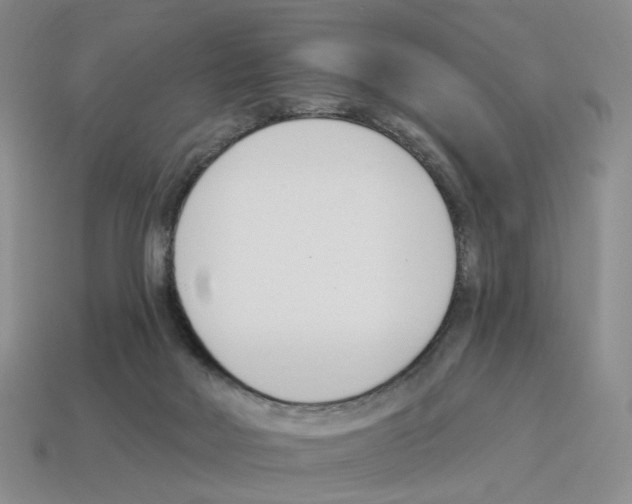 X0000114240026200911061558